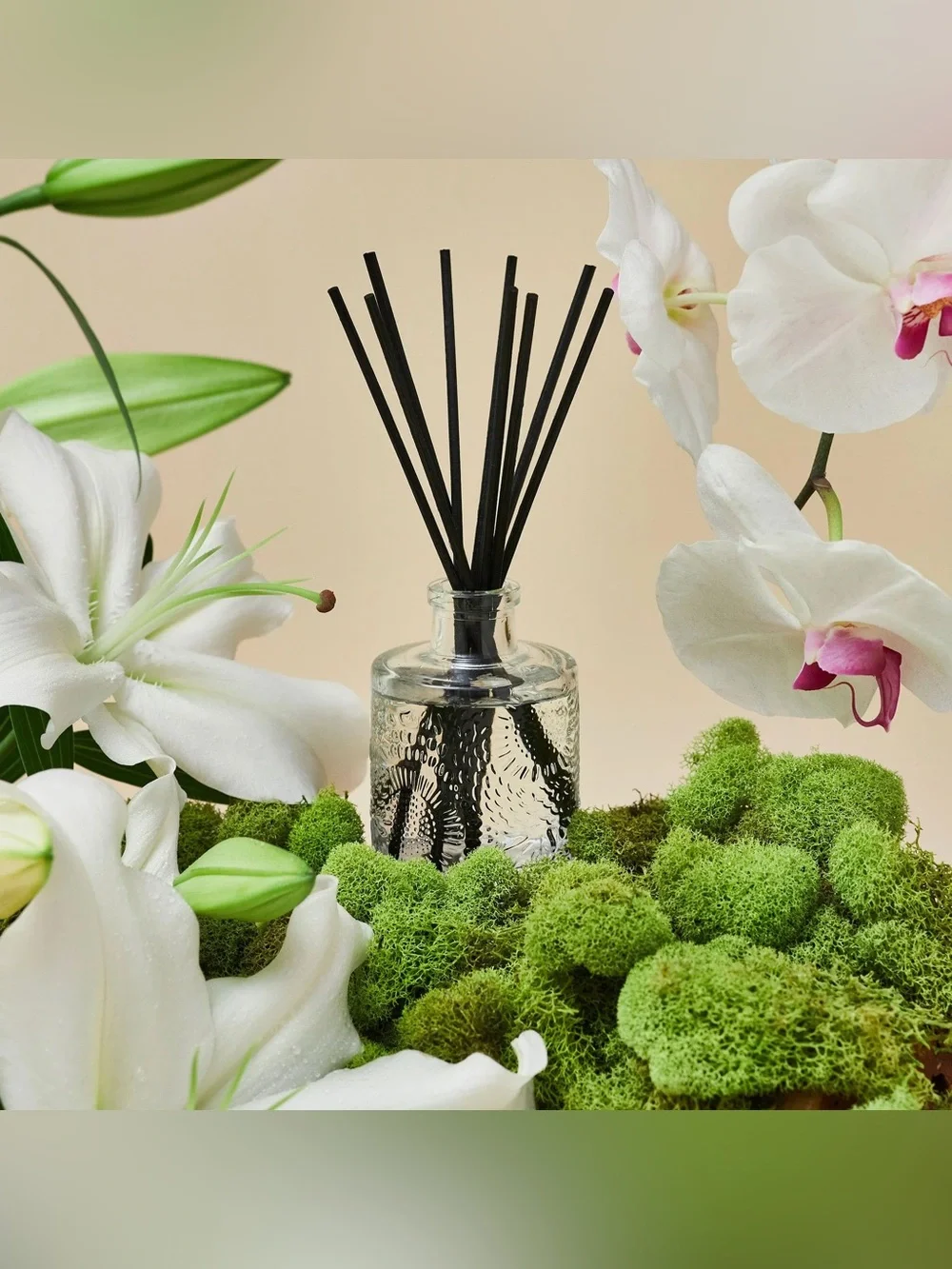✨NIB VOLUSPA MOKARA REED DIFFUSER✨